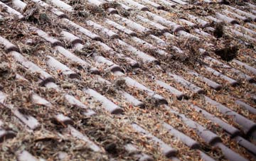 Pengersick roof cleaning companies